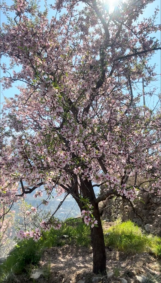 Roam & Render Diaries✨❣️ tweet media