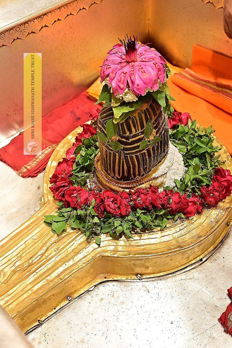 ShriVishwanath's tweet image. श्री काशी विश्वनाथ जी की श्रृंगार आरती I
#kashivishwanath #kashi #hindu #sanatandharm