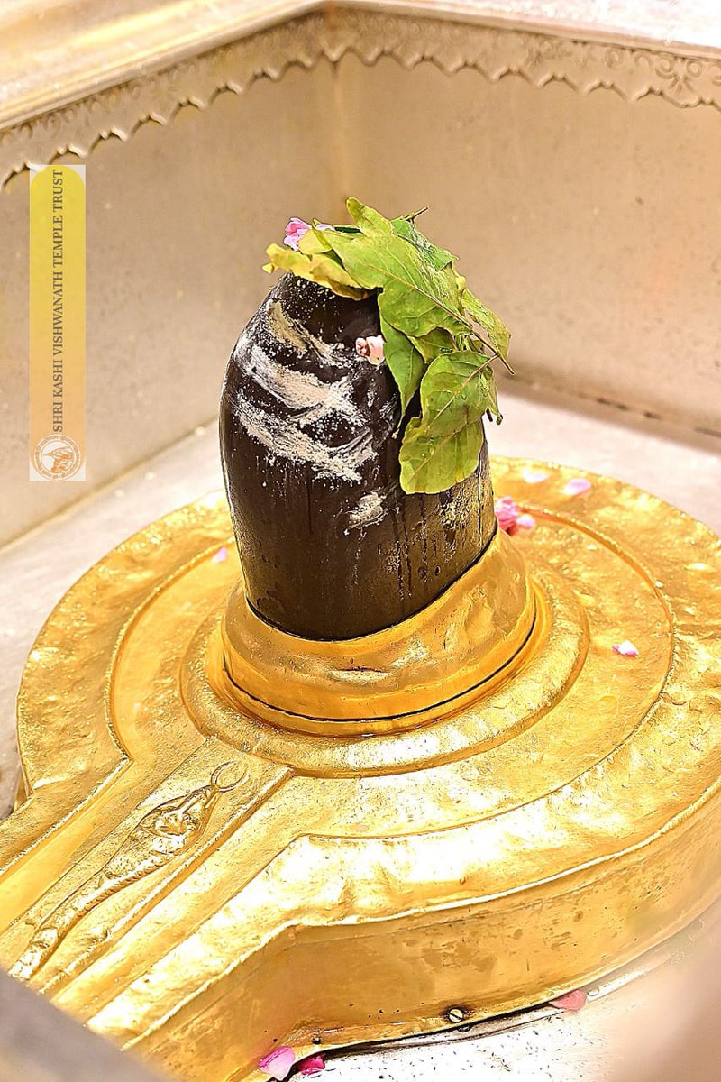 ShriVishwanath's tweet image. श्री काशी विश्वनाथ जी की श्रृंगार आरती I
#kashivishwanath #kashi #hindu #sanatandharm