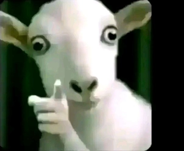 𝖤𝖼𝗈𝗇𝗈𝗆𝗂𝖼 𝖲𝖺𝖻𝗈𝗍𝖾𝗎𝗋 tweet media