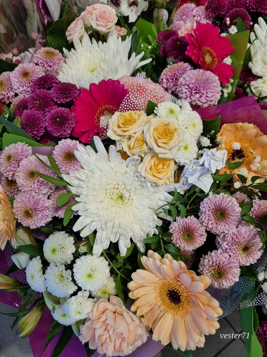 vester71 tweet media