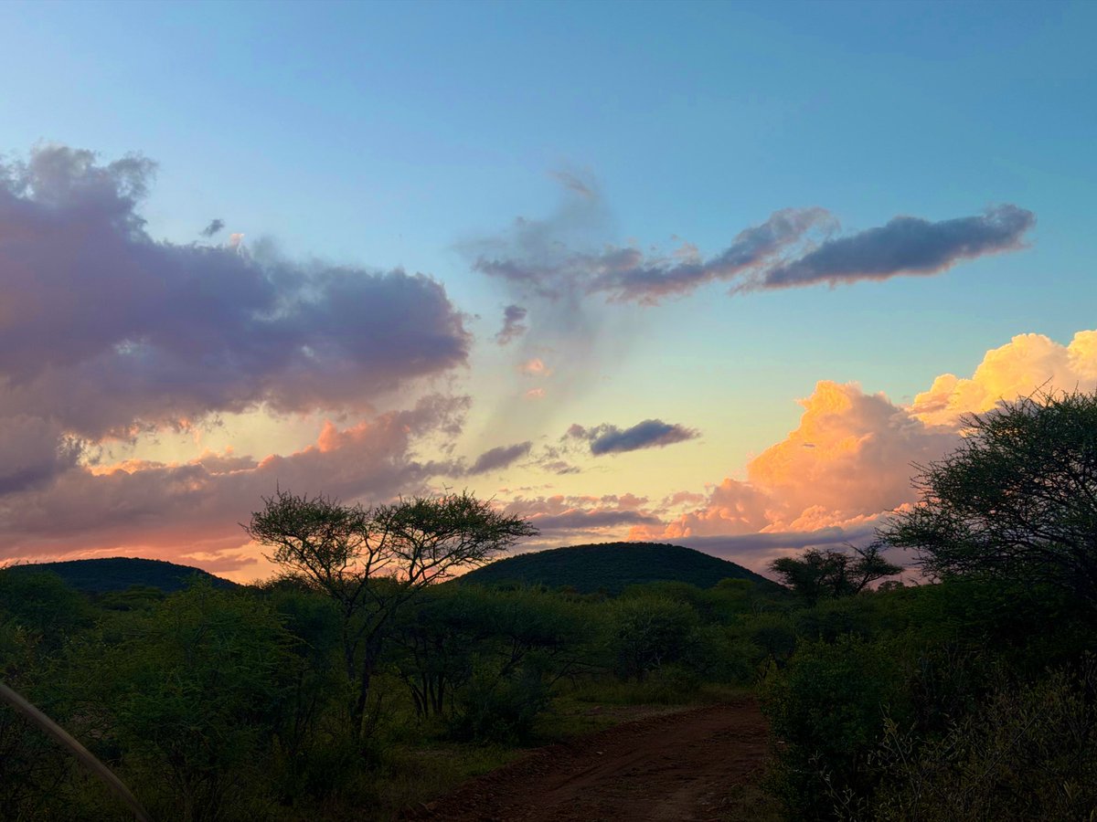 Sparkles✨ tweet media