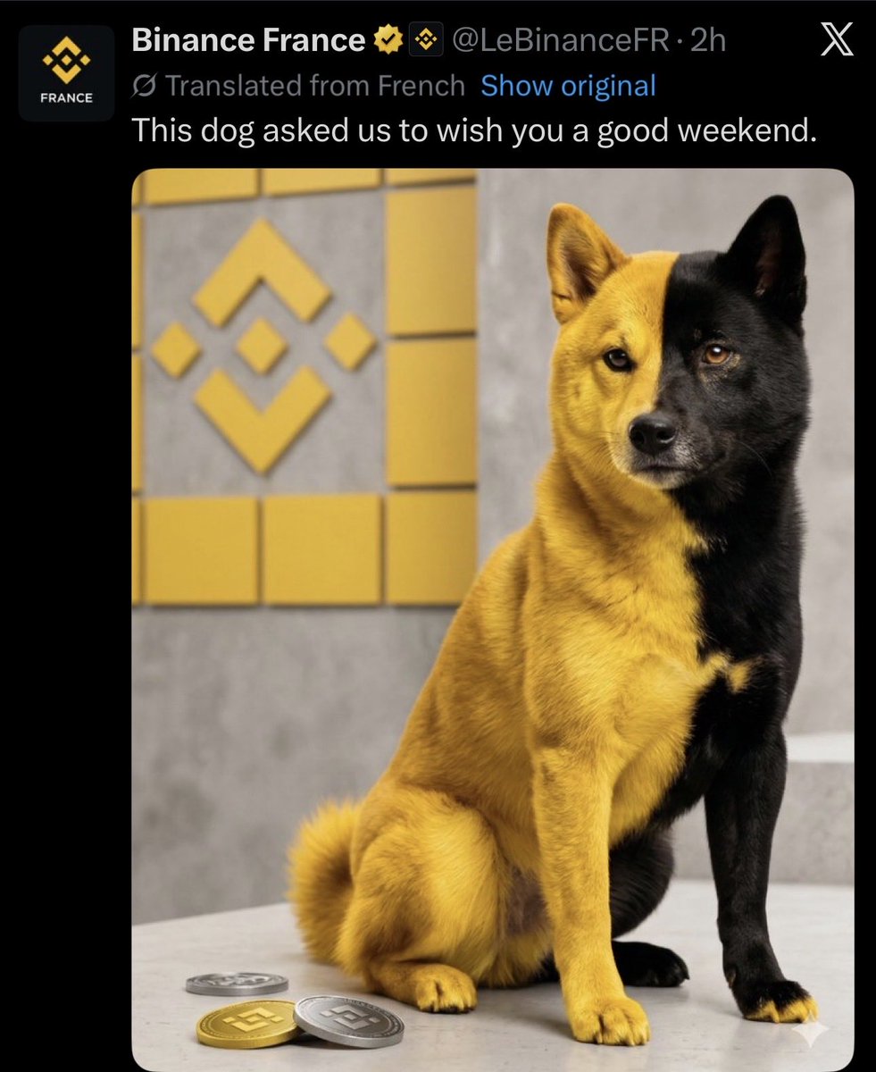 Shiba Arab army™ tweet media