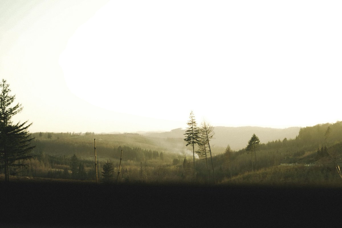 Adelalameri tweet media