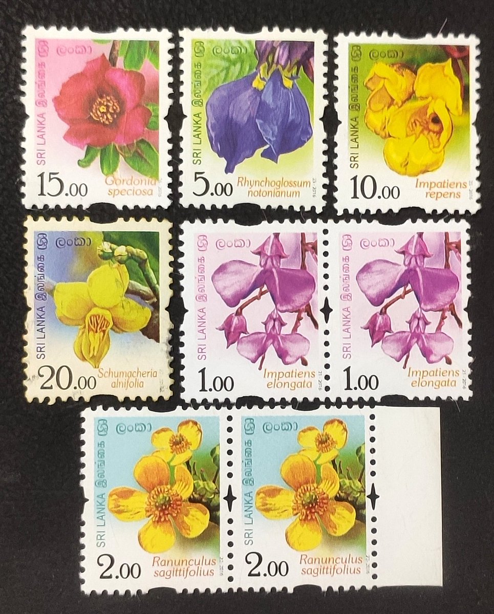 vinatewa_vinay's tweet image. S...
Sri Lanka 
South Africa 
Switzerland 
Sunflower 🌻 (Germany)

#philately #stampcollecting #stamps #FlowersOnStamps #theme_pic_India_philately