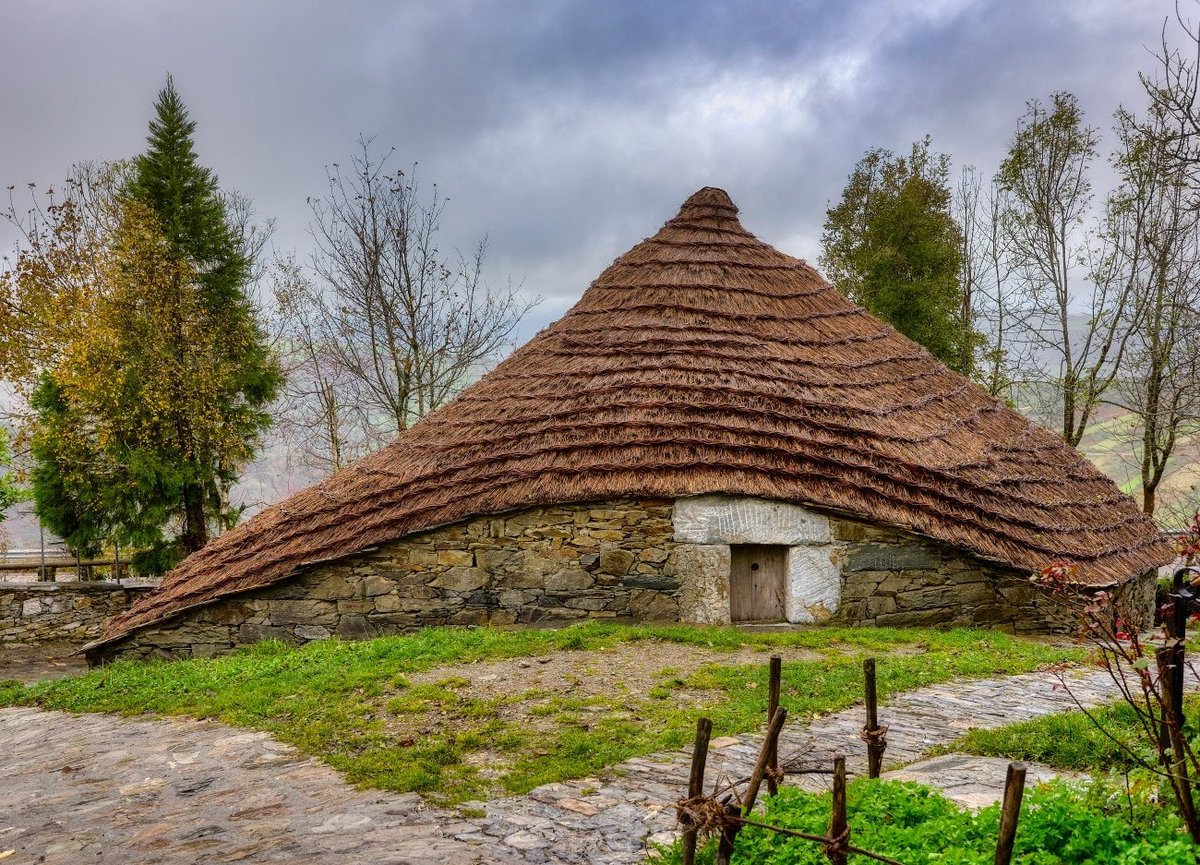 Vintage addicted illustrator tweet media