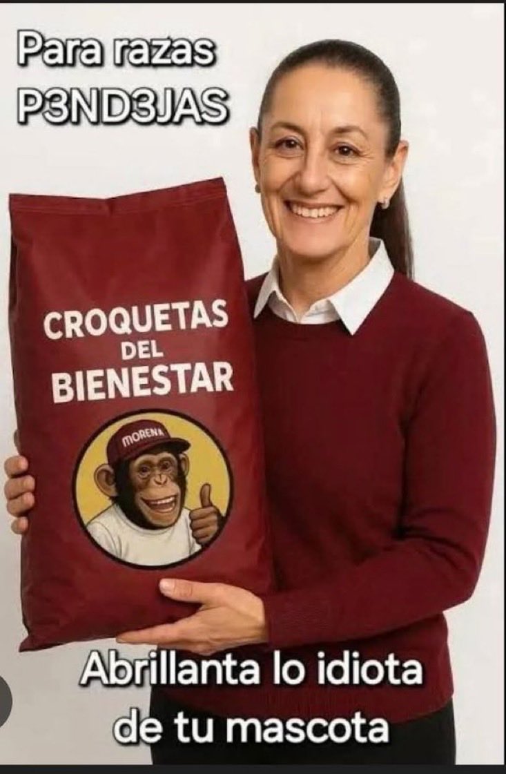 Peregrino tweet media