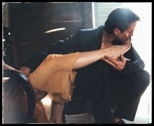 José sweet surrender tweet media