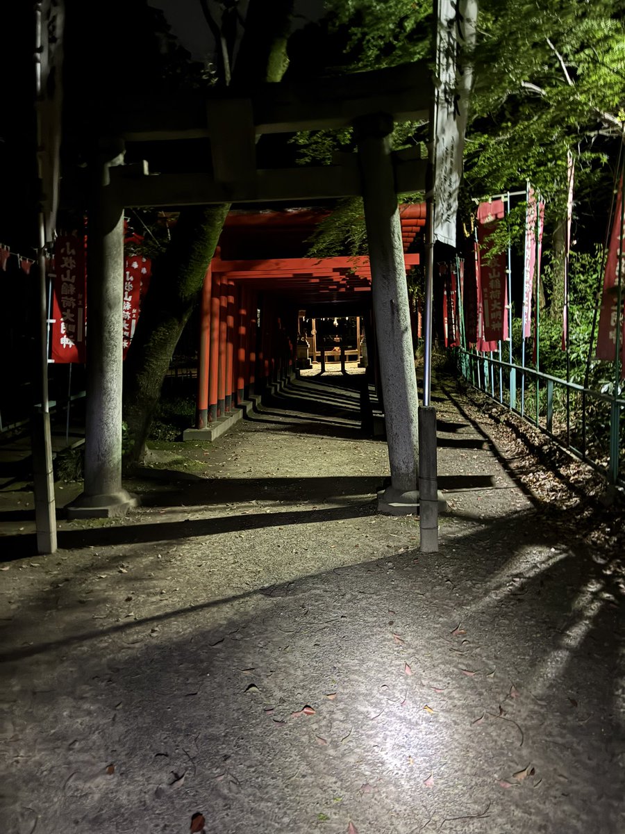 にくだんご tweet media