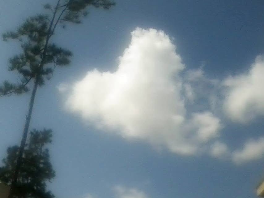 outmybackdoor7's tweet image. #clouds #heart #heartshaped #nofilters #texas