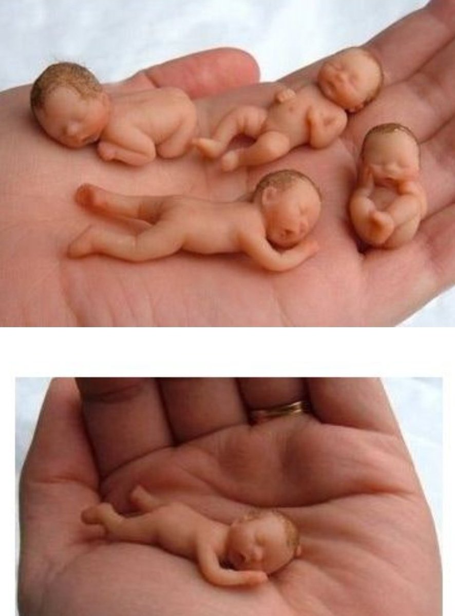 천안문광장 짜장퇴치암호 tweet media