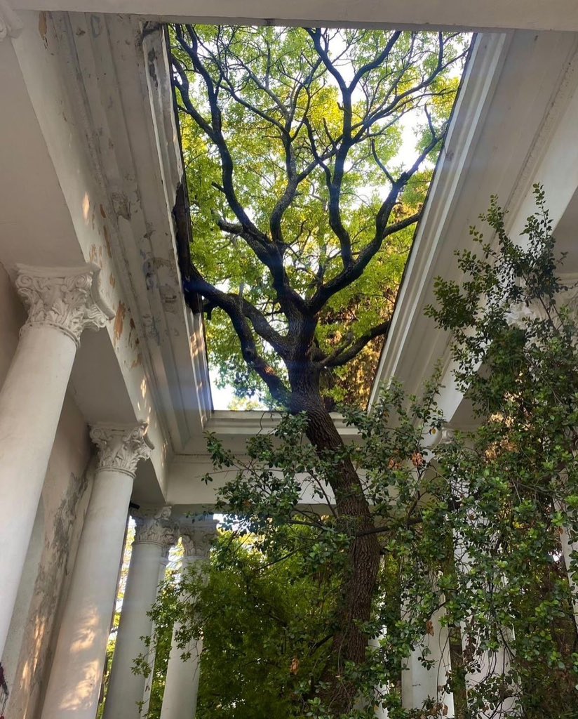 الحياة والفن tweet media