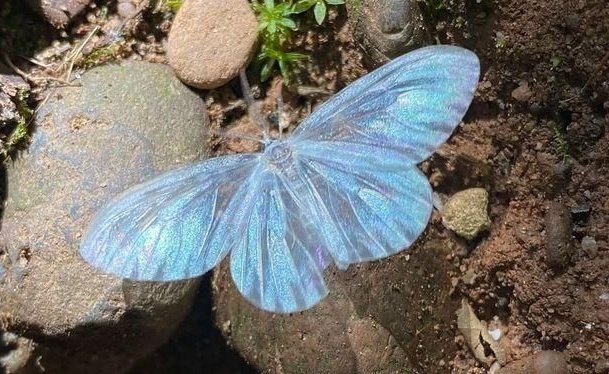 𝒍𝒖𝒏𝒂 tweet media