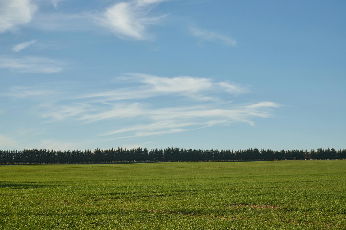 علي حكمي tweet media