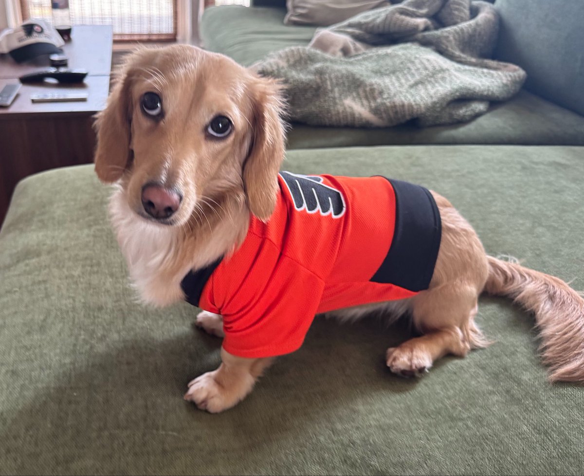 steph (#1 hägg stan) tweet media