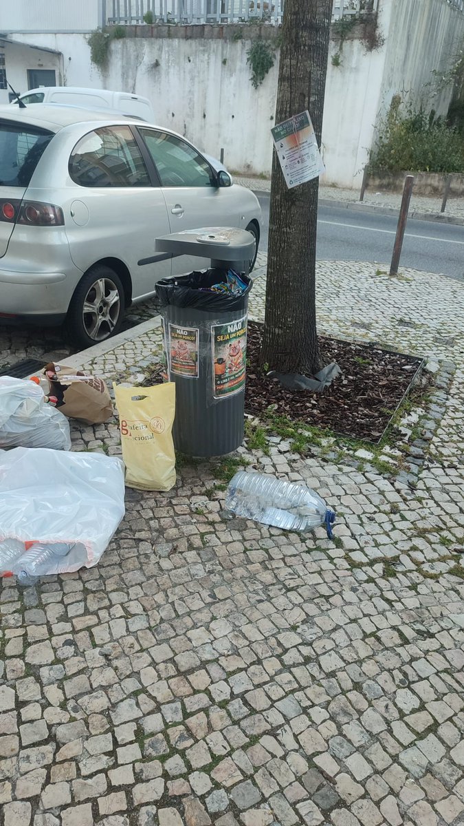 tochanuno's tweet image. #sintra 
@camaradesintra