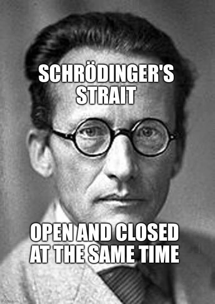 Littlewisehen tweet media