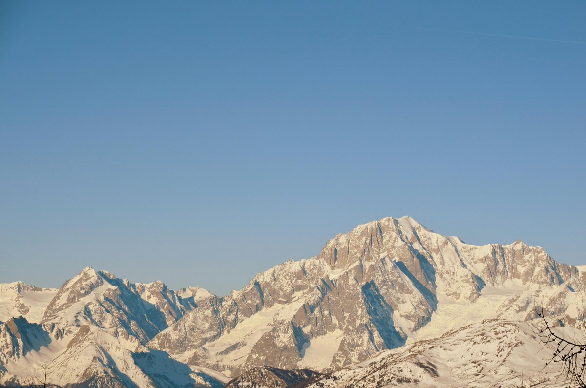 Tavo ovando tweet media