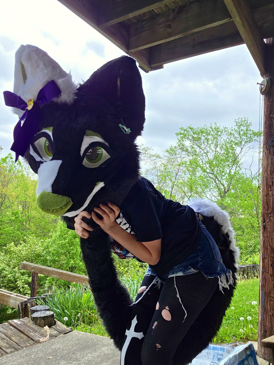 Sombersaline's tweet image. Uhhh hii #furry #fuzz #isthisthingon ??