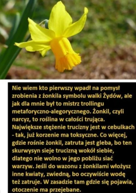 Trust No One 🇵🇱 🇭🇺 tweet media