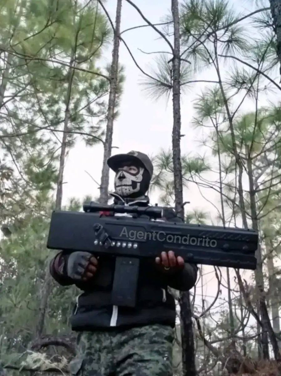 Bartu Eken tweet media