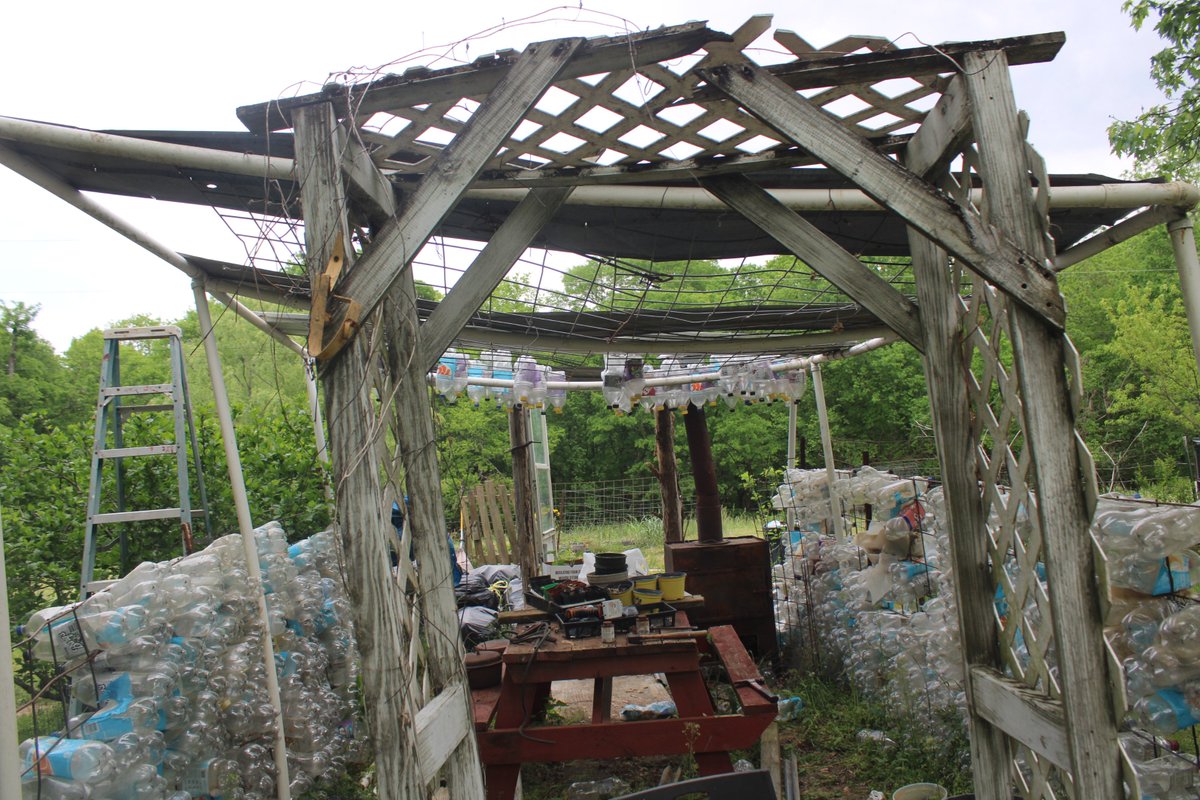 docsanderson's tweet image. #Scientists #Carpenter #Wolves #Mates
@NatGeo @HeartsofHeroes_ @Nature @Ginger_Zee
Lizzie Mags G after cleaning house&amp;amp; getting my serenity back i finished the repair of the big #GreenHouse center beam is glued in &amp;amp; bearing weight Im off the roof supports Lunchtime Bae's Mwah Lee