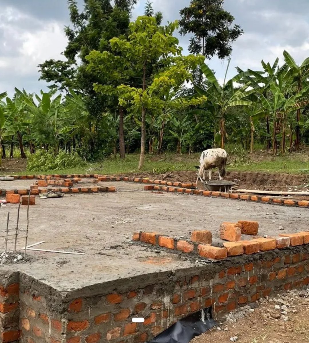 S A M A H𓃰❁ tweet media