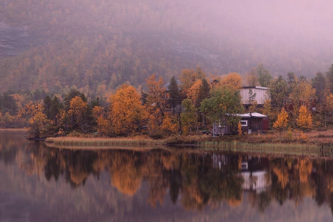 At this moment, everything in life feels absolutely flawless.