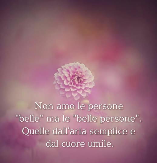 Babbaribba tweet media