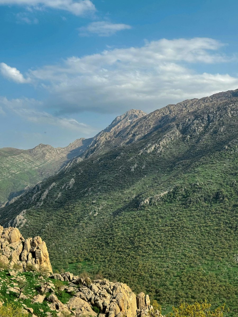 Данил Абдураимов tweet media