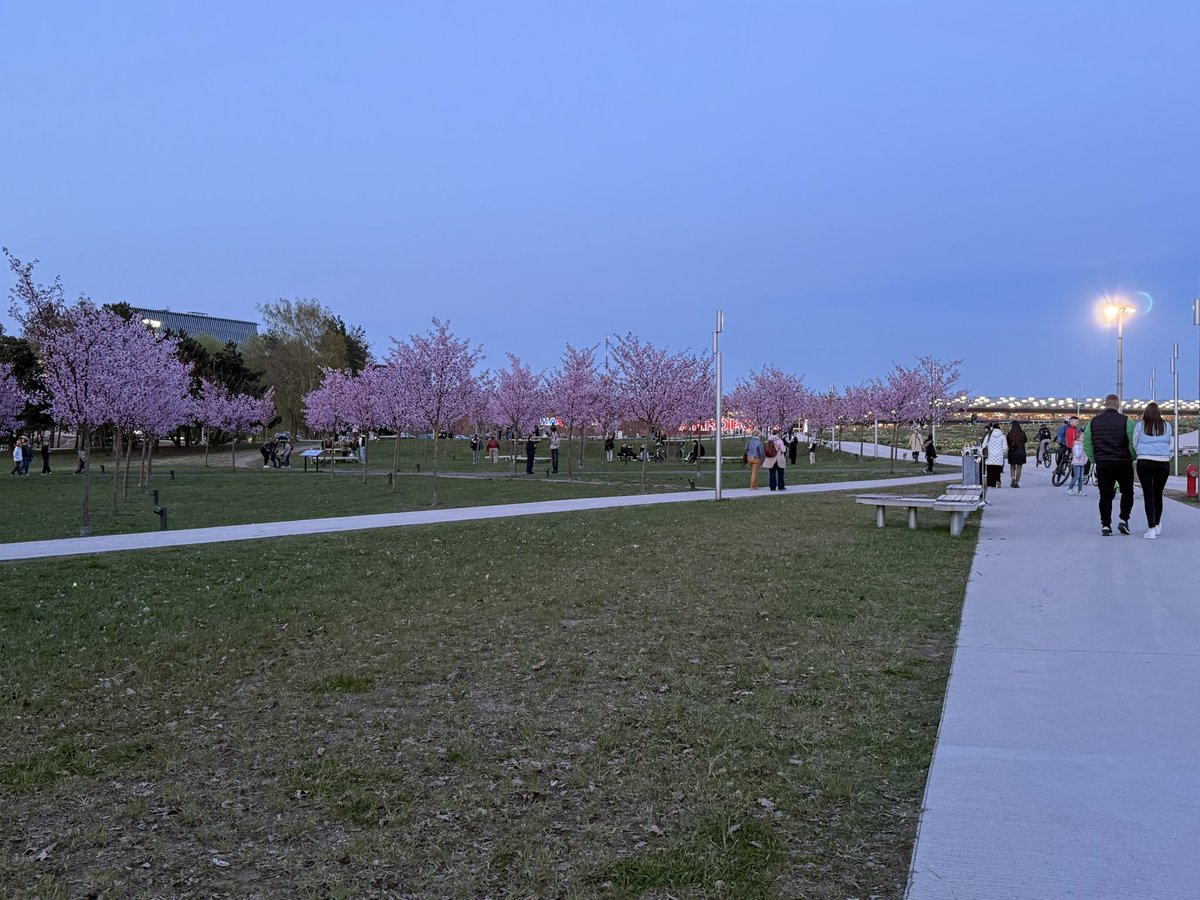 Laura -Justīne 🃏(at 🏡) tweet media