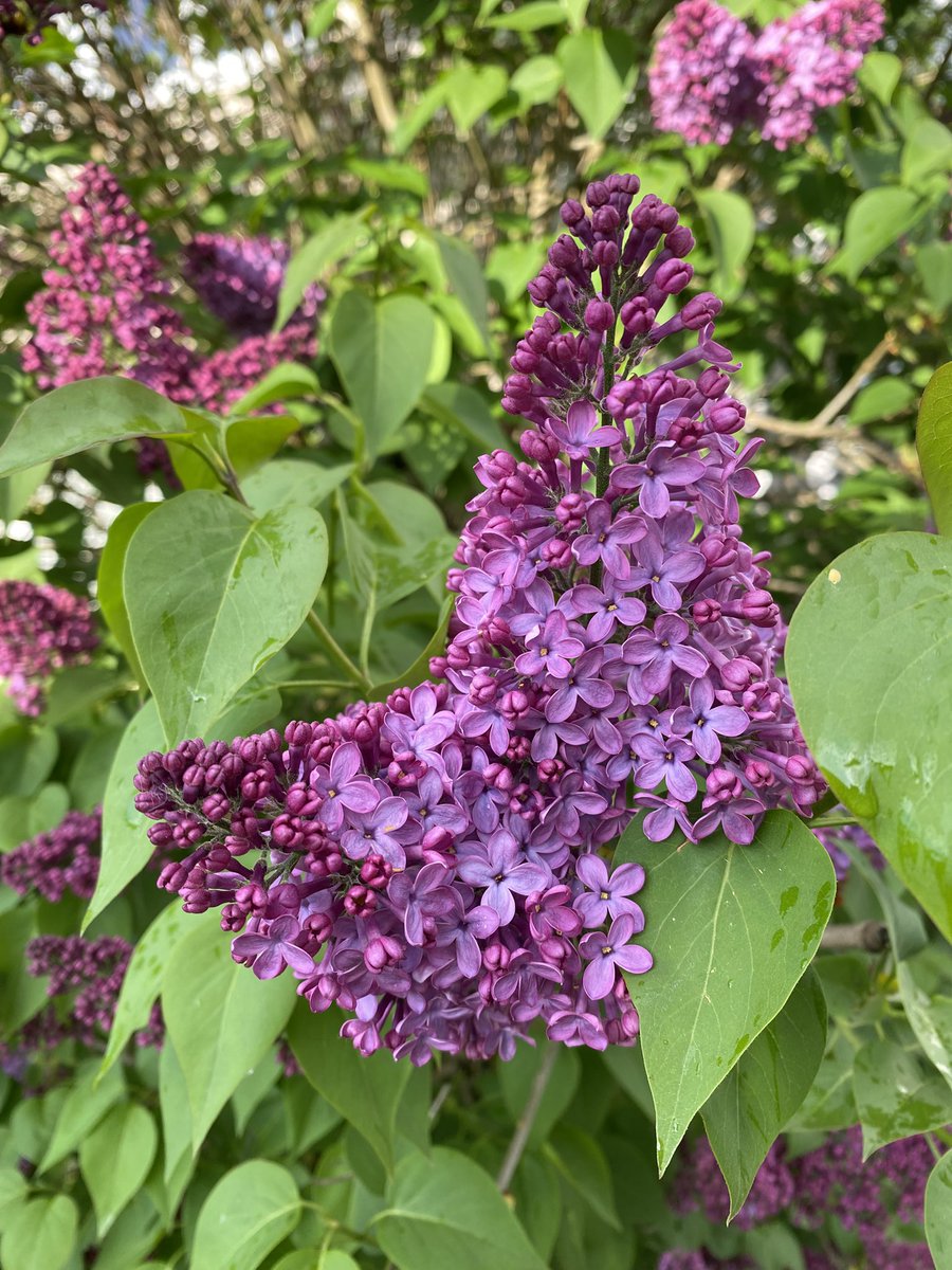 BeMoreBob tweet media