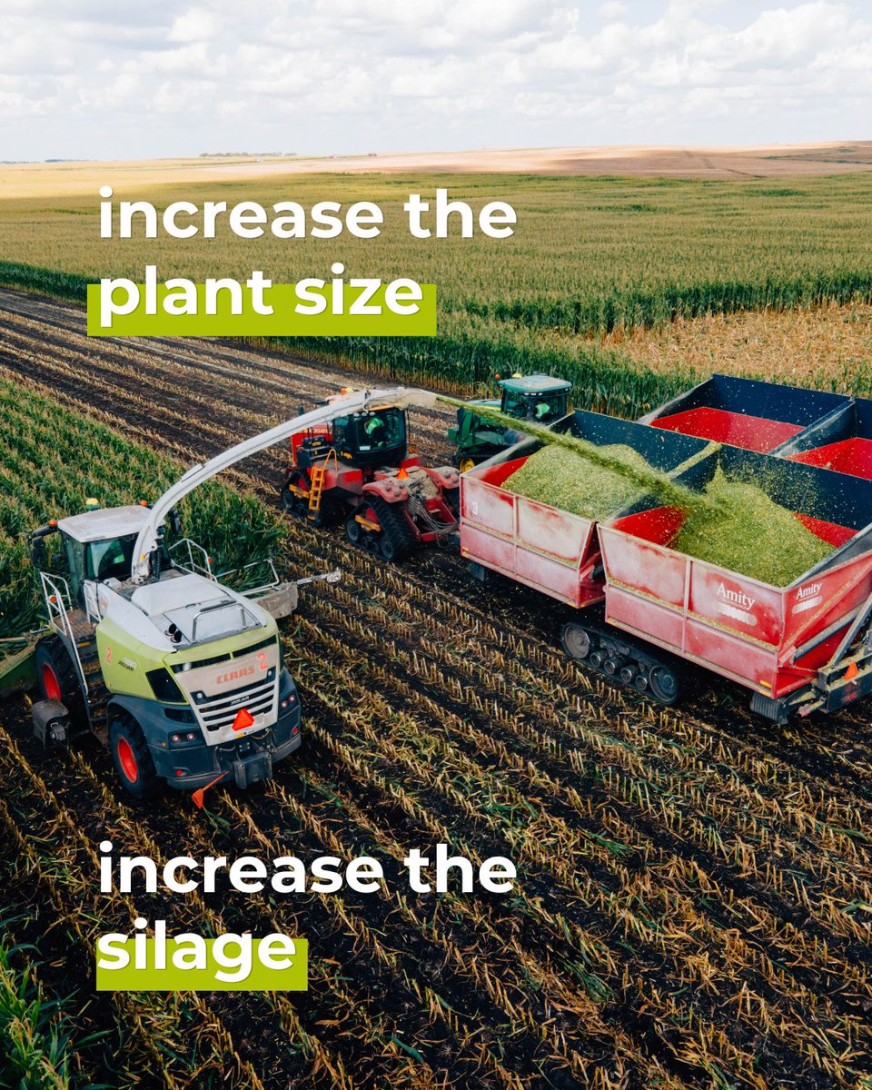 pivotbio's tweet image. Apply PROVEN® G3 at planting to give your #corn a steady, reliable #nitrogen source for stronger growth, more #silage tons, and higher-quality feed for beef and dairy cattle.

See the difference in your fields this season. #plant26

Watch how it works ➡️ pivotbio.co/41aT7B2