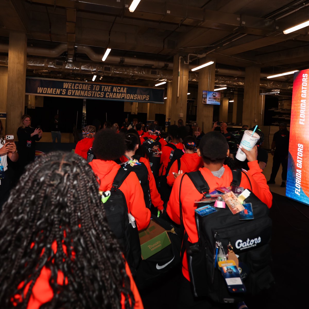 Gators Gymnastics tweet media