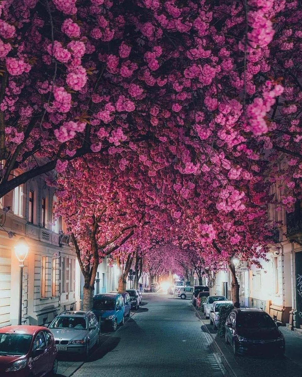 CaptureYourGlow's tweet image. Walk beneath blooming dreams, let beauty guide your steps, and trust each moment unfolding—your journey is growing brighter, softer, and more magical with every step forward.
#FOORM #Jewelry #Studio #WearYourStory #Charms #Bracelets #Necklaces #Bloom #DreamyVibes #Inspiration