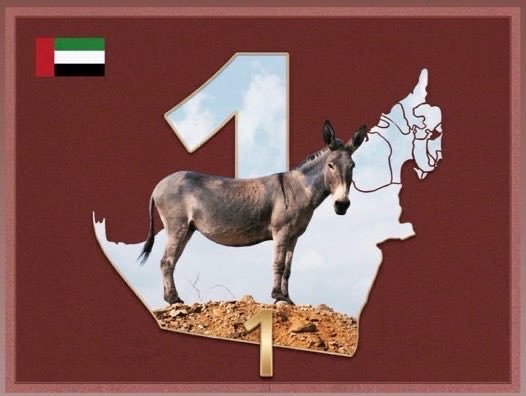 Ghazi bin nasser tweet media