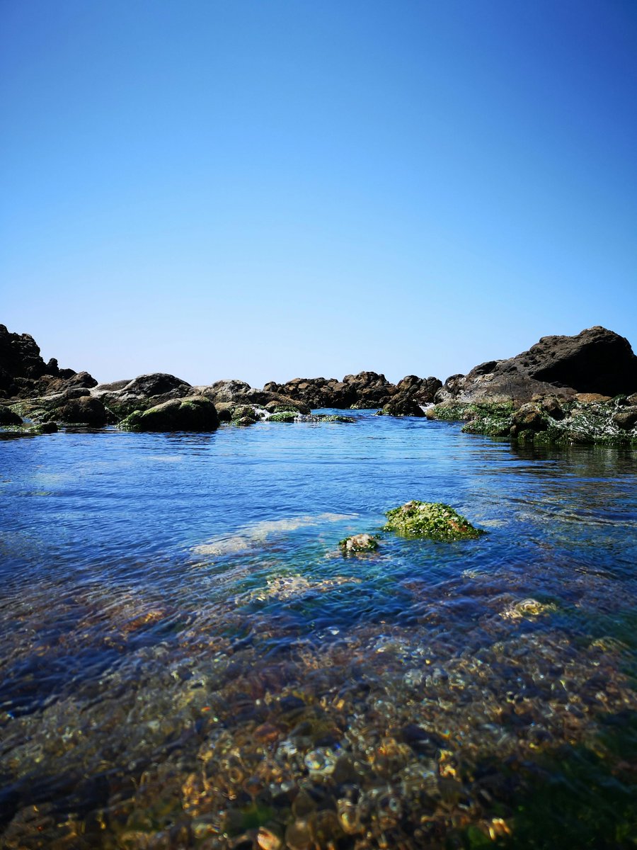 Данил Абдураимов tweet media