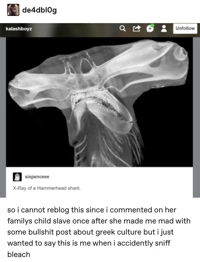 Dyke Strider tweet media