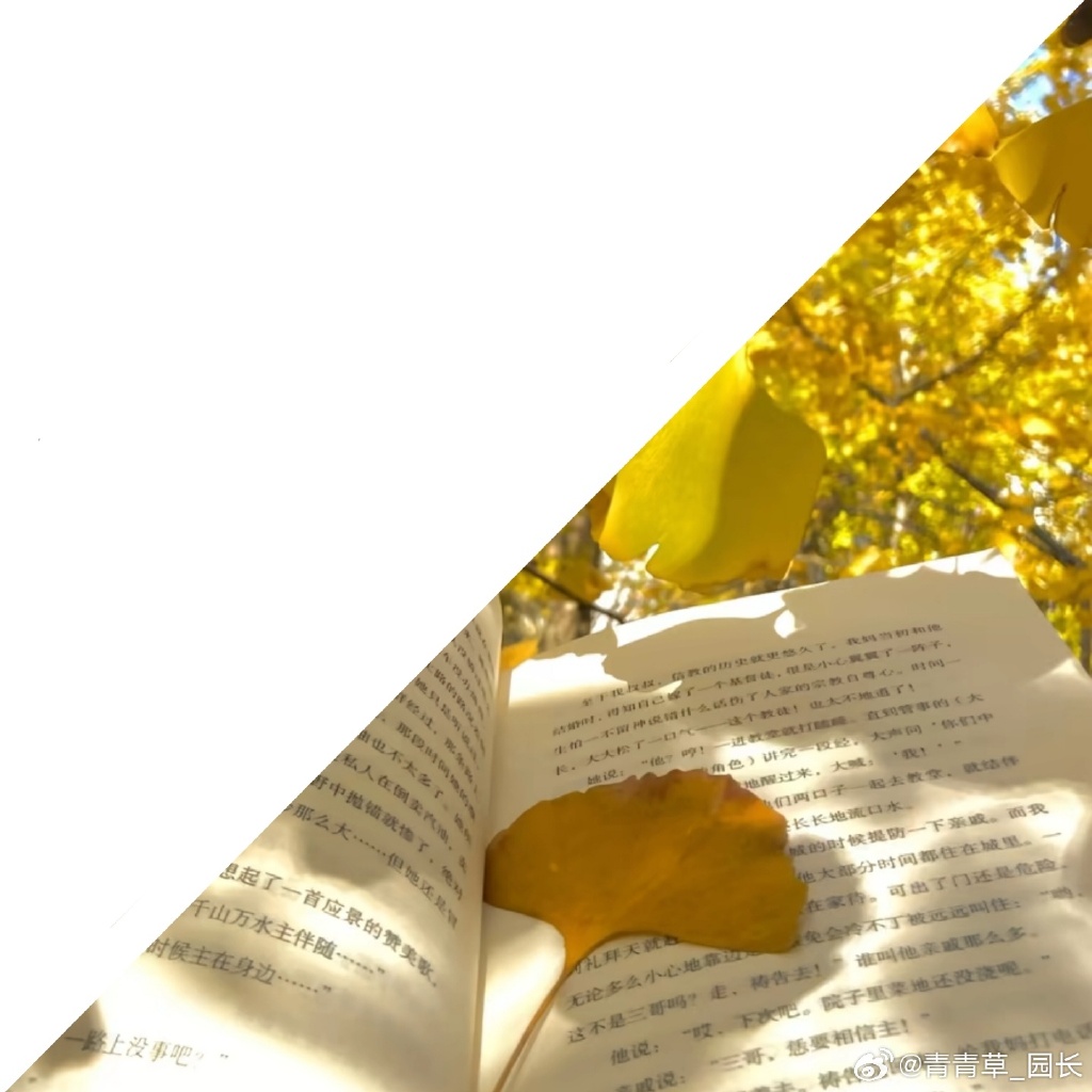 Yusuf erenErdoğan tweet media