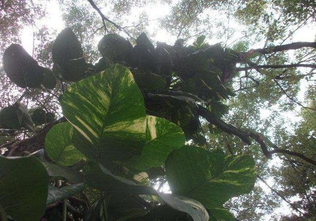 Mairely Nakarith Can tweet media