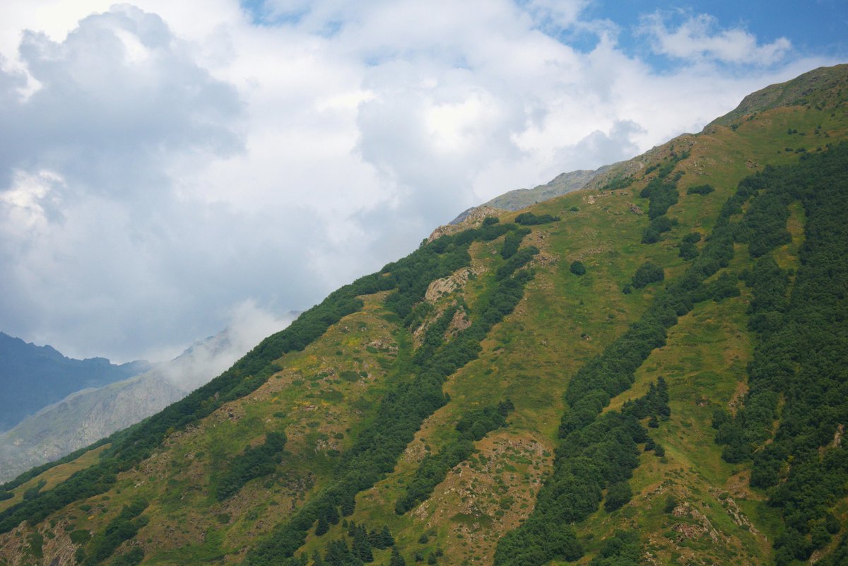 KongYing tweet media