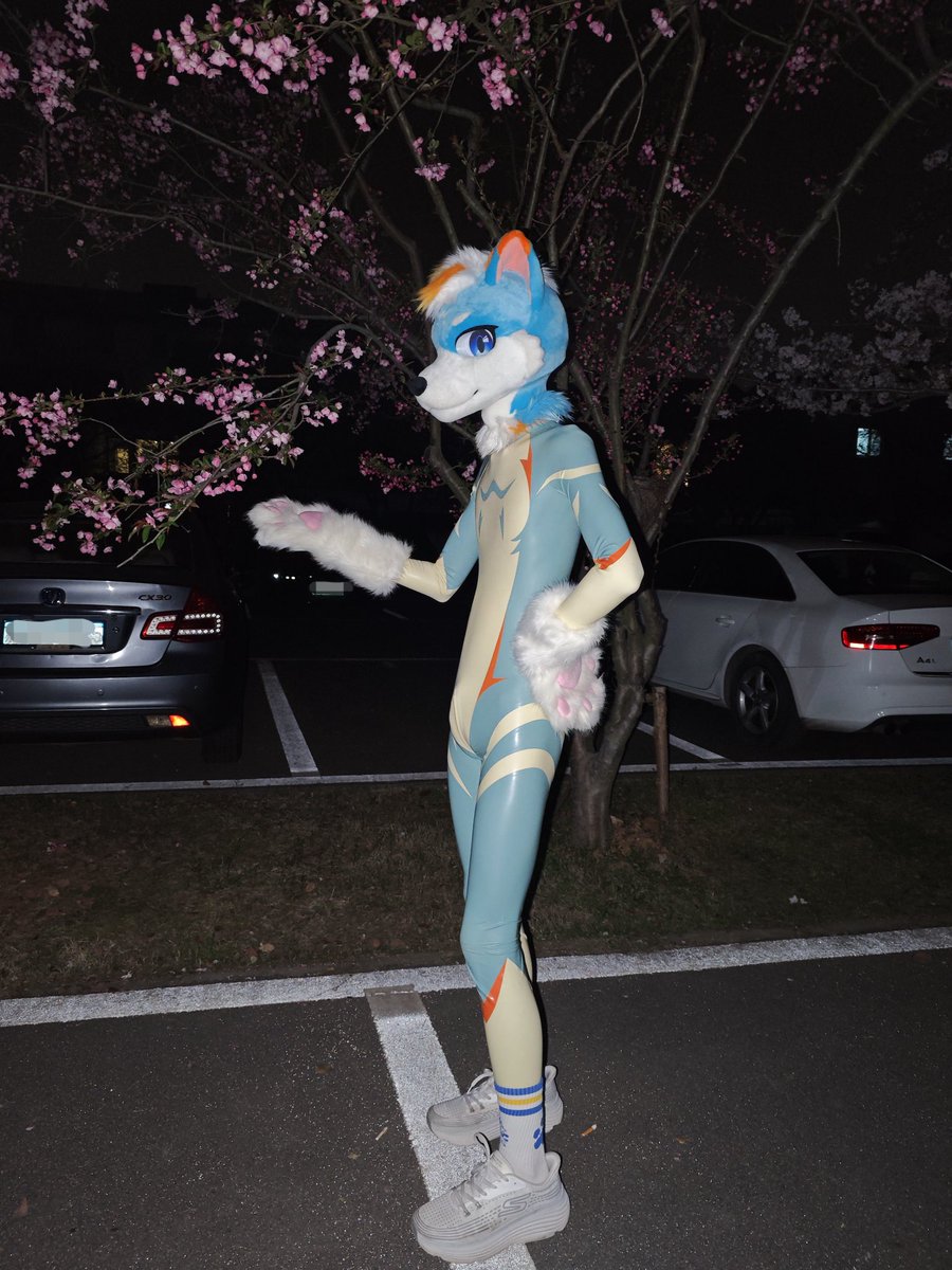 方程式 tweet media