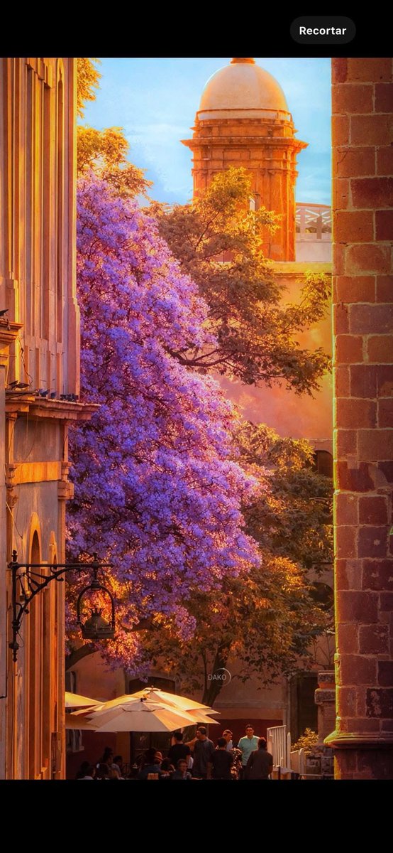 Raymundo Moreno 🇲🇽 tweet media