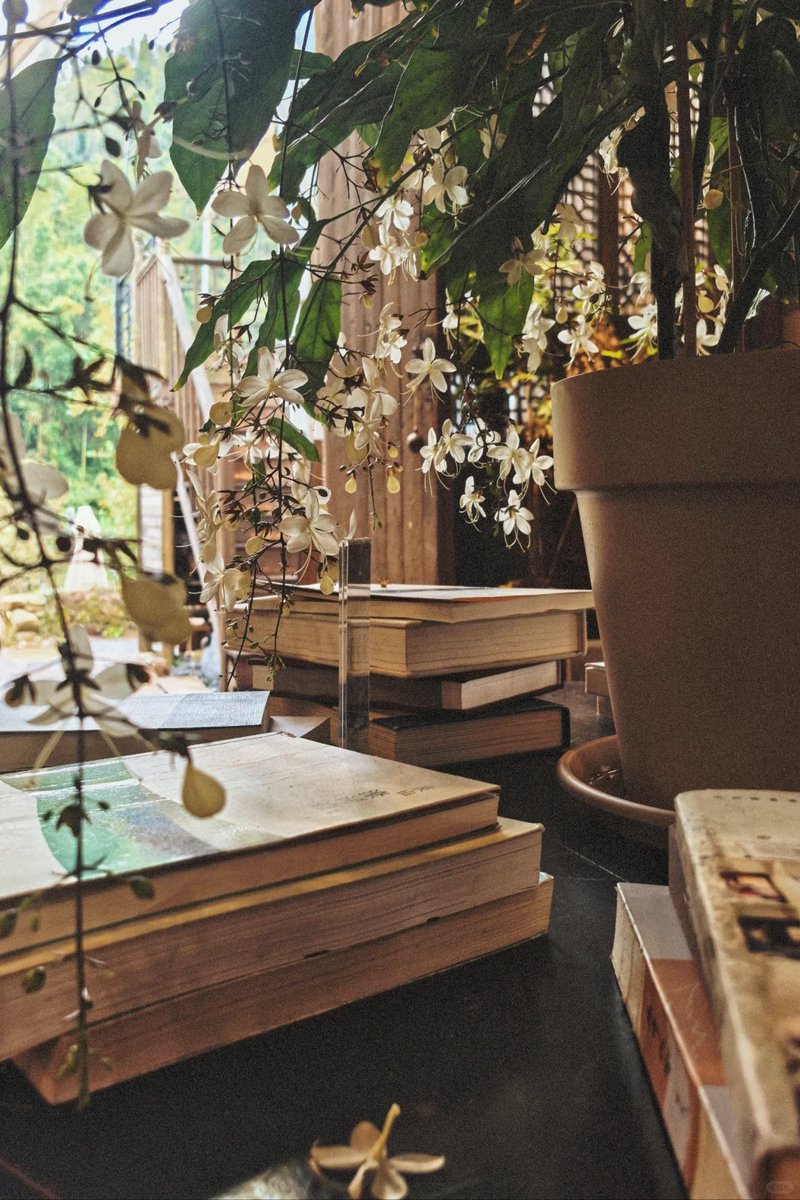 Michael Engell tweet media