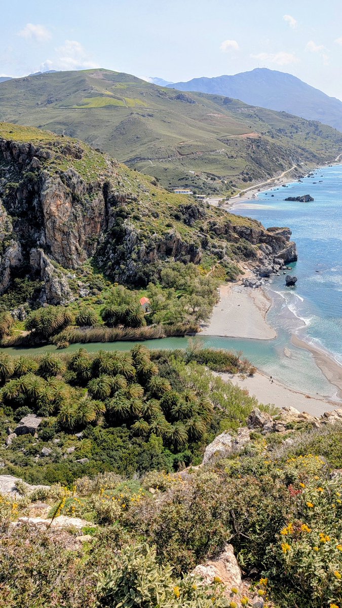 CKTH85's tweet image. #KRETA
Schöne Eindrücke des Palmenstrand von Preveli, der Kapelle Agios Paisios und der Kourtaliotiko-Schlucht.
EMPFEHLENSWERT. 👍🏻
🌤️🏞️⛰️🌊🏊🏻‍♂️🏖️🌴✈️