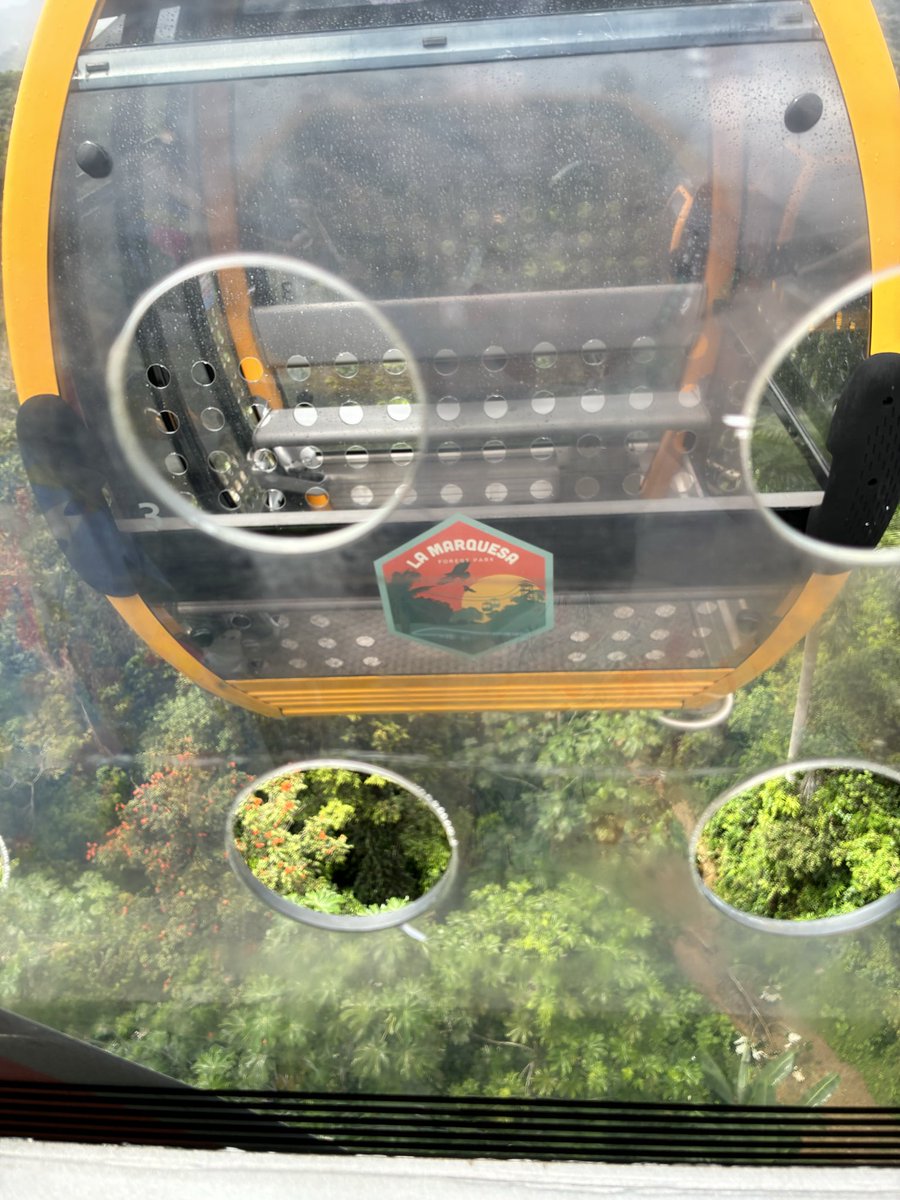 thenuggetdino's tweet image. it stopped i’m #scared