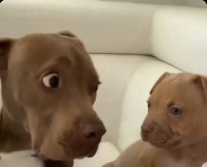 Ryune GO "Era 2026" tweet media