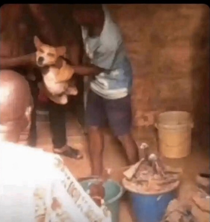 Timmy_Turner tweet media