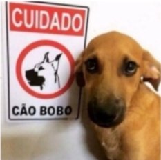 alguém tem algum grupo de assovio, latido ou miado pra colocar eu aí?