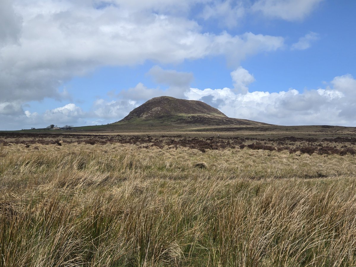 DrMMck's tweet image. Perfect day for a dander from Killylane/Ballyboley to the top of Slemish. 14 miles of fresh air, headspace, and camaraderie.

#Wellbeing #HealthyMindHealthyBody #GetOutside #ActiveLifestyle ☘️